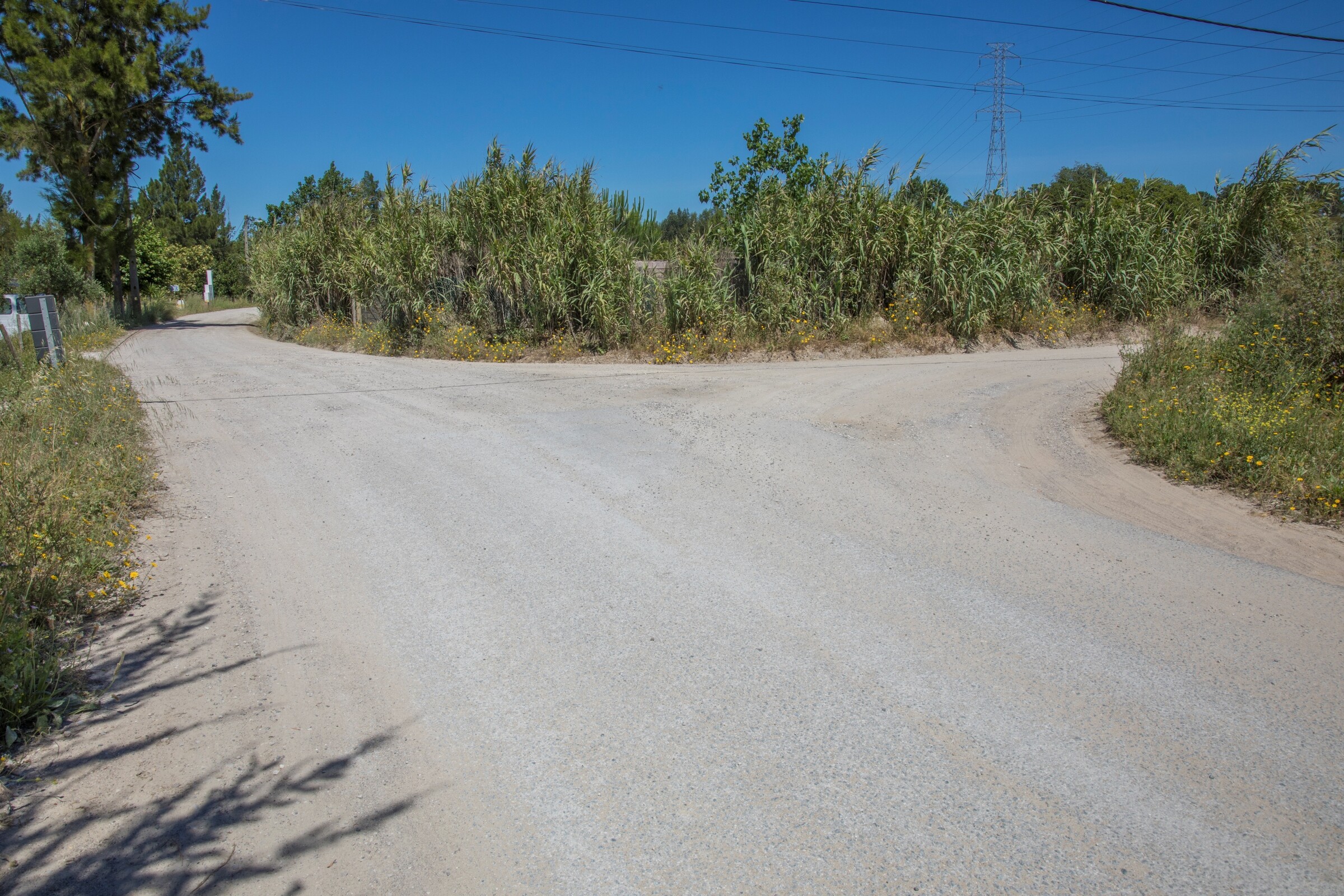 Pavimentação de troço da Rua Manuel Martins Pitorra em concurso