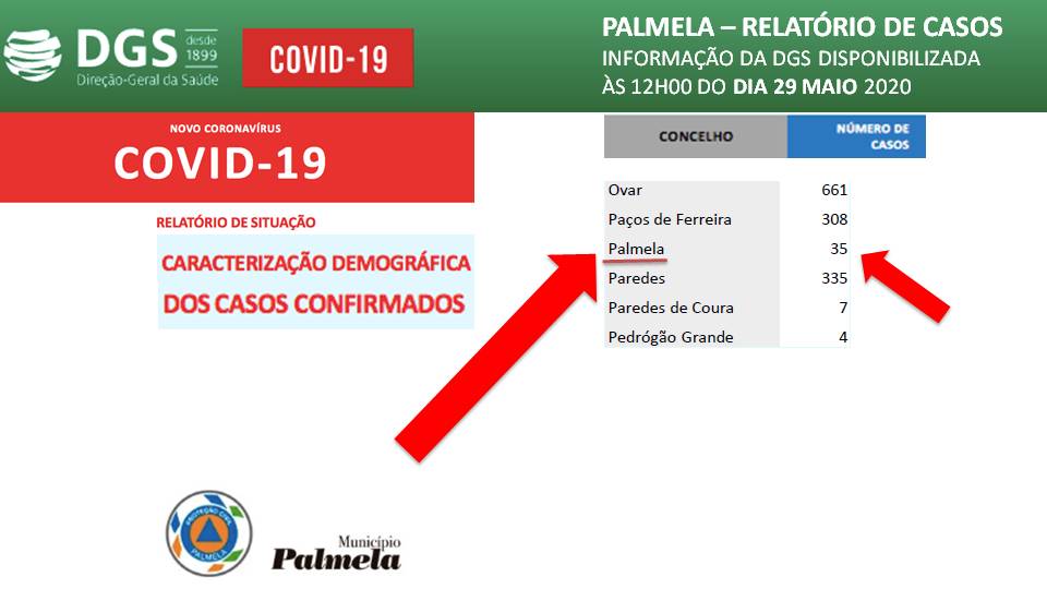 Relatório de Situação Diária da COVID 19 – 29 maio 2020 