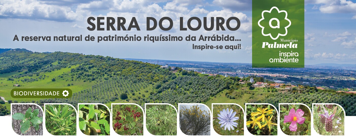 No Dia Mundial do Ambiente, saia “À Descoberta das Plantas da Serra do Louro”