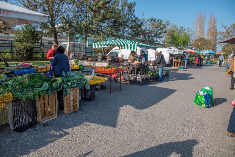 Obra de requalificação do Mercado de Produtores de Pinhal Novo