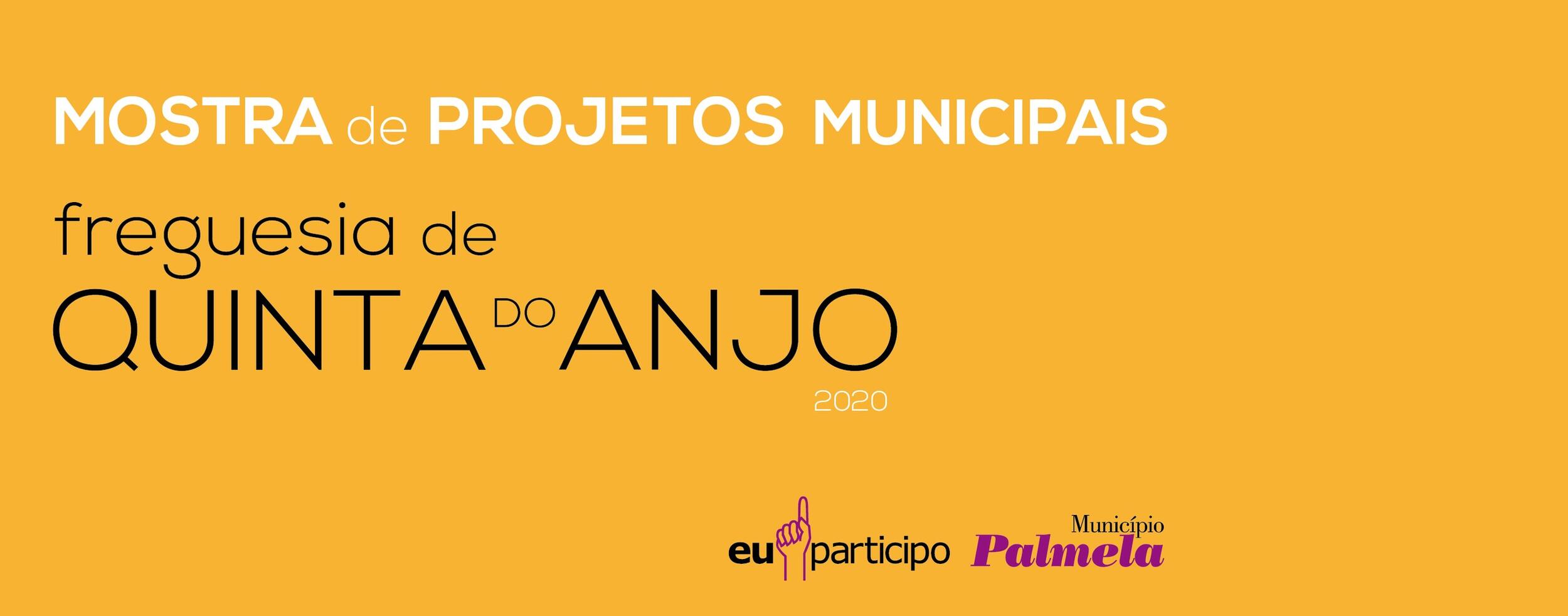 Conheça os projetos e as obras de 2020: Investimentos municipais na Quinta do Anjo ultrapassam 6M€