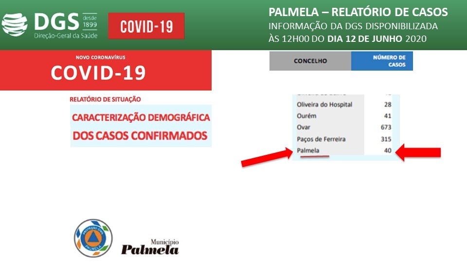 Relatório de Situação Diária da COVID 19 – 12 junho 2020