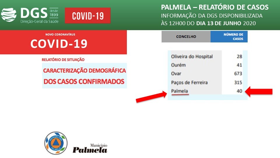 Relatório de Situação Diária da COVID 19 – 13 junho 2020