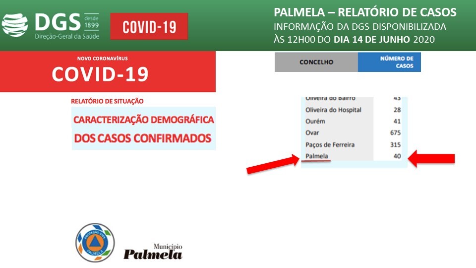 Relatório de Situação Diária da COVID 19 – 14 junho 2020