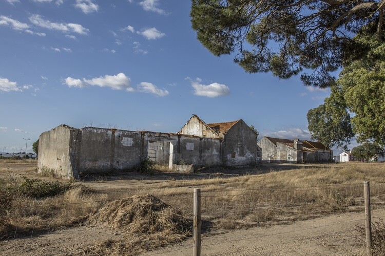 “Requalificação do Monte do Francisquinho”: aprovada abertura de concurso