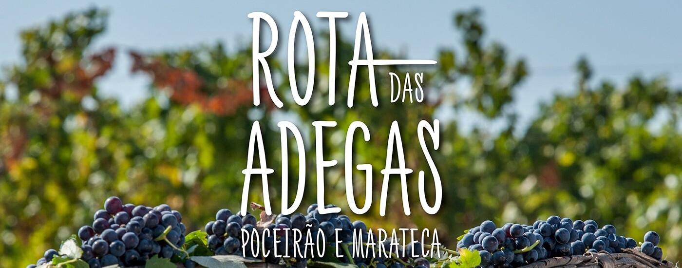 Rota das Adegas: prove os melhores vinhos de Poceirão e Marateca