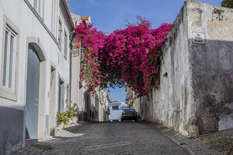 Reabilitar no Centro Histórico de Palmela: conheça as melhores soluções