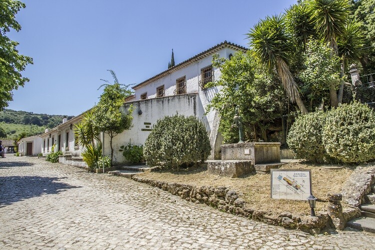 Janela da Arrábida vai nascer no Espaço Fortuna