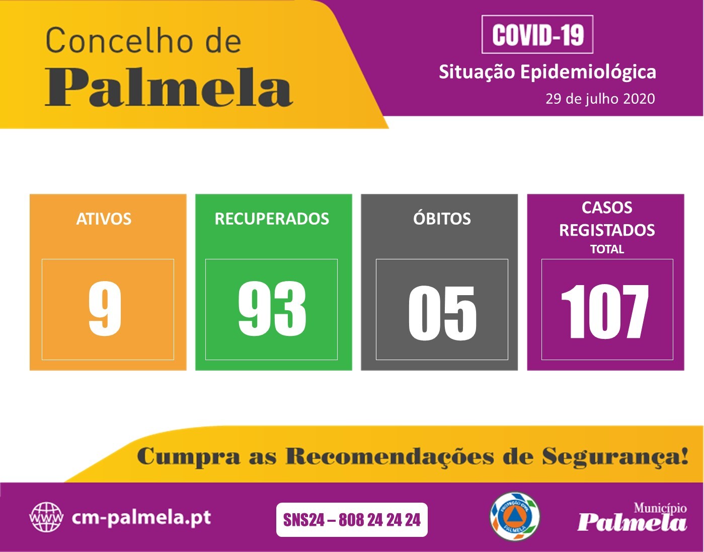 Palmela: Situação diária da COVID-19 | 29 julho 2020