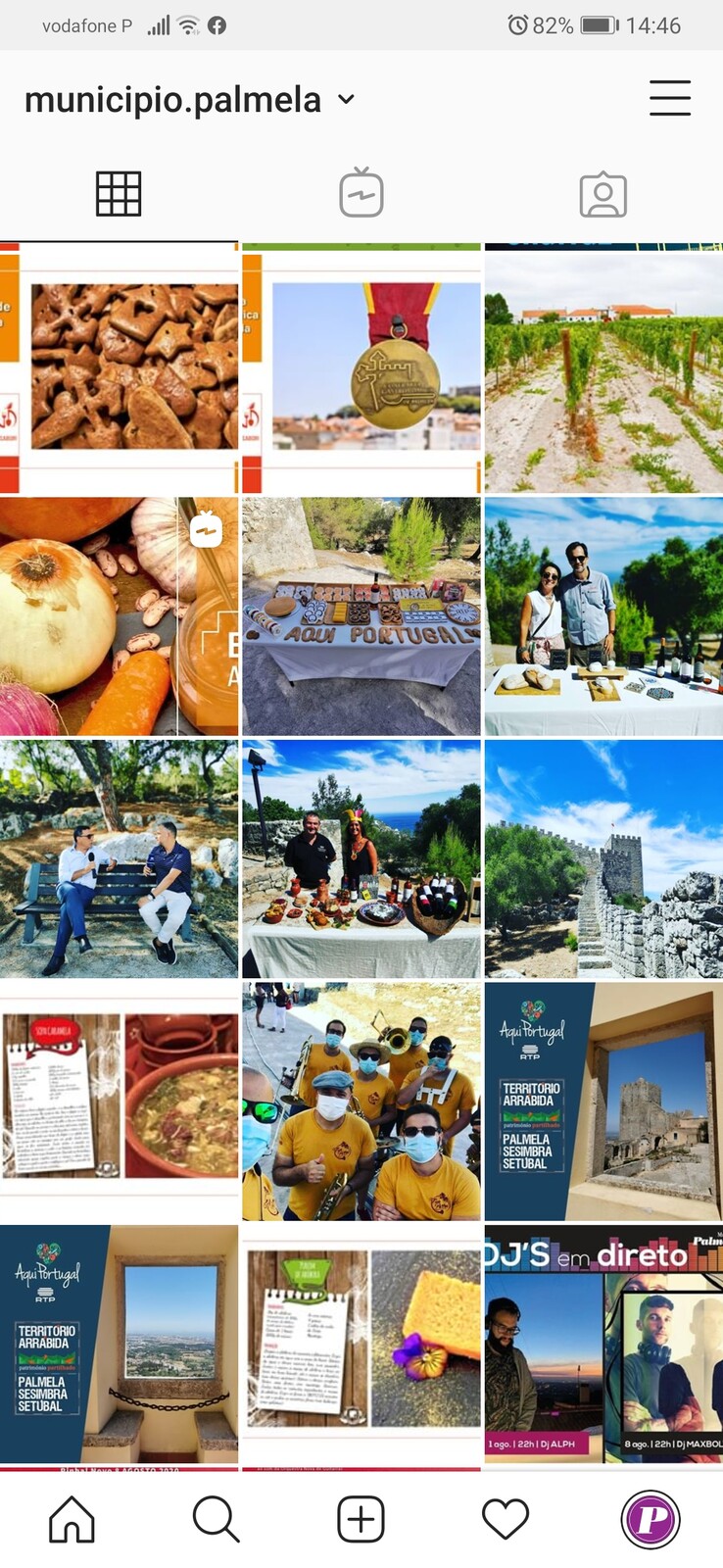 Município de Palmela - Siga-nos no Instagram!