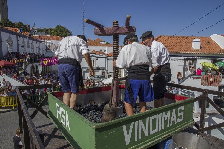 Pisa da Uva e Bênção do 1.º Mosto sublinham tradição no Programa Vindimas 2020