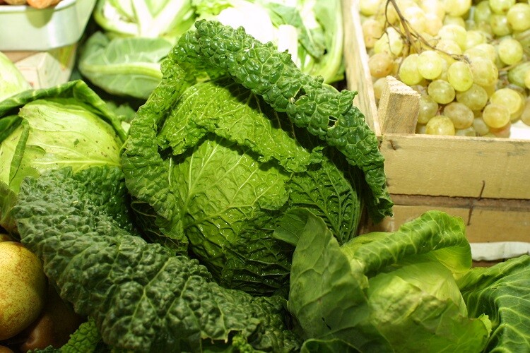  Produtores agrícolas de Palmela participam no projeto Recolha