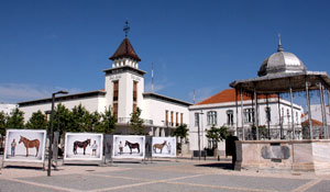 Finisterra – Arrábida Film, Art &amp; Tourism Festival: Exposições e sessões diárias no Auditório...