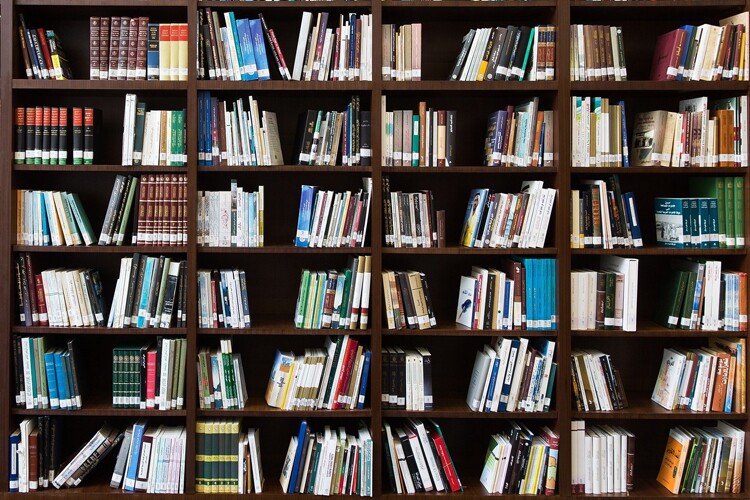 Pólo da Biblioteca de Quinta do Anjo já reabriu