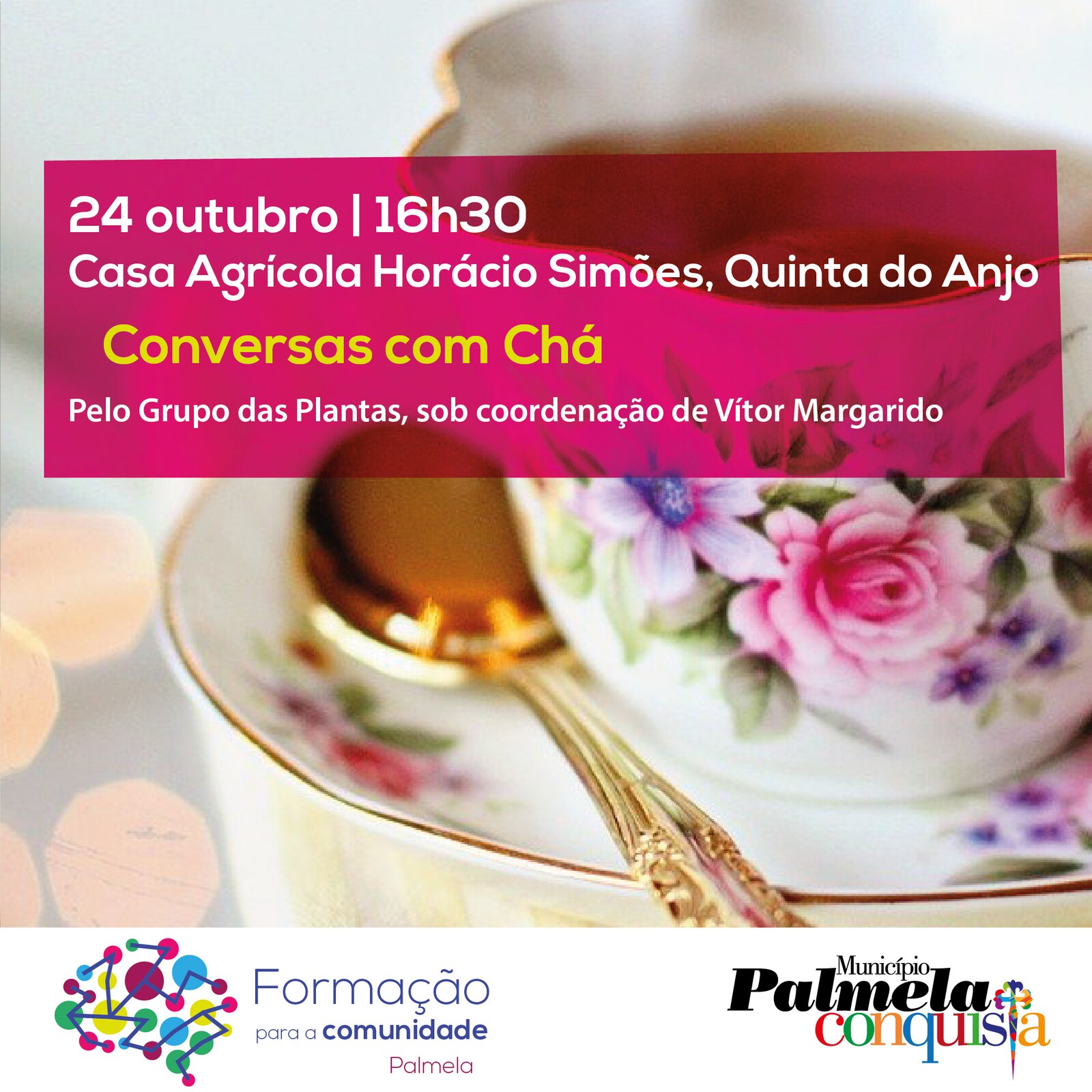 Município  dinamiza “Conversas com Chá” em Quinta do Anjo