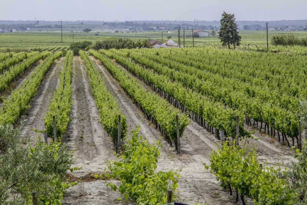 Município exige reposição das Freguesias de Marateca e Poceirão antes das autárquicas 2021