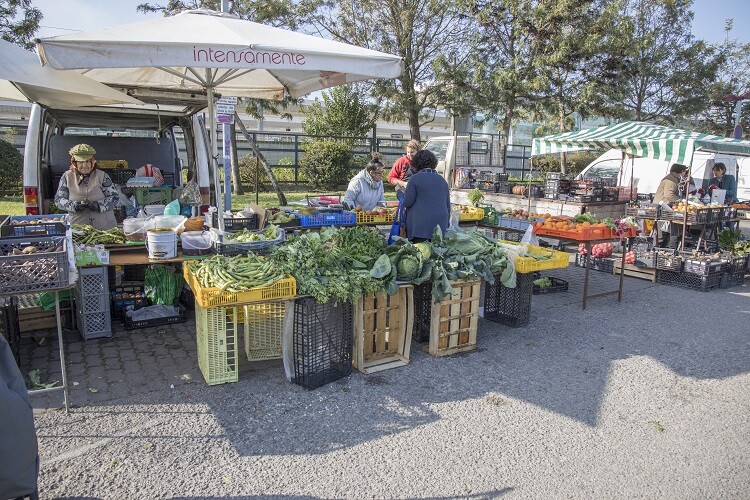 Município de Palmela mantém realização de Mercados e Feiras de Levante