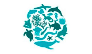 Arrábida reúne património singular: Hoje comemora-se o Dia Internacional da Conservação da Biodiv...