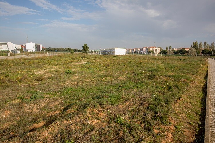 Município cede terreno à Fundação COI para nova resposta social