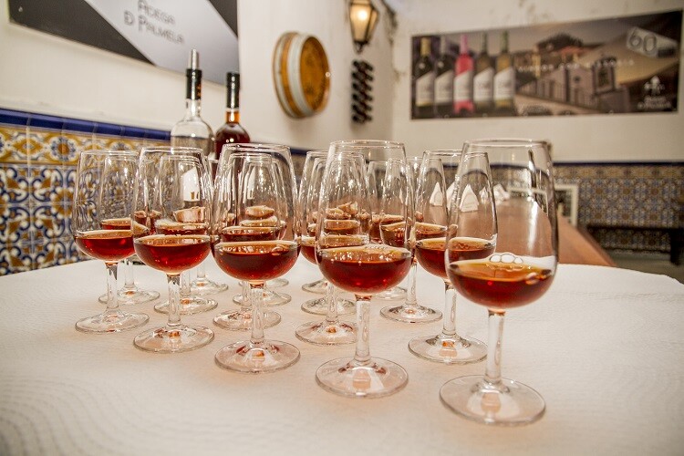 Município saúda Adega de Palmela