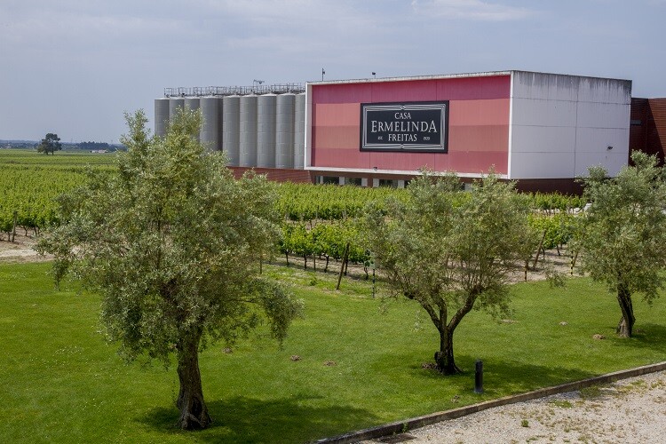 Saudação - Casa Ermelinda Freitas