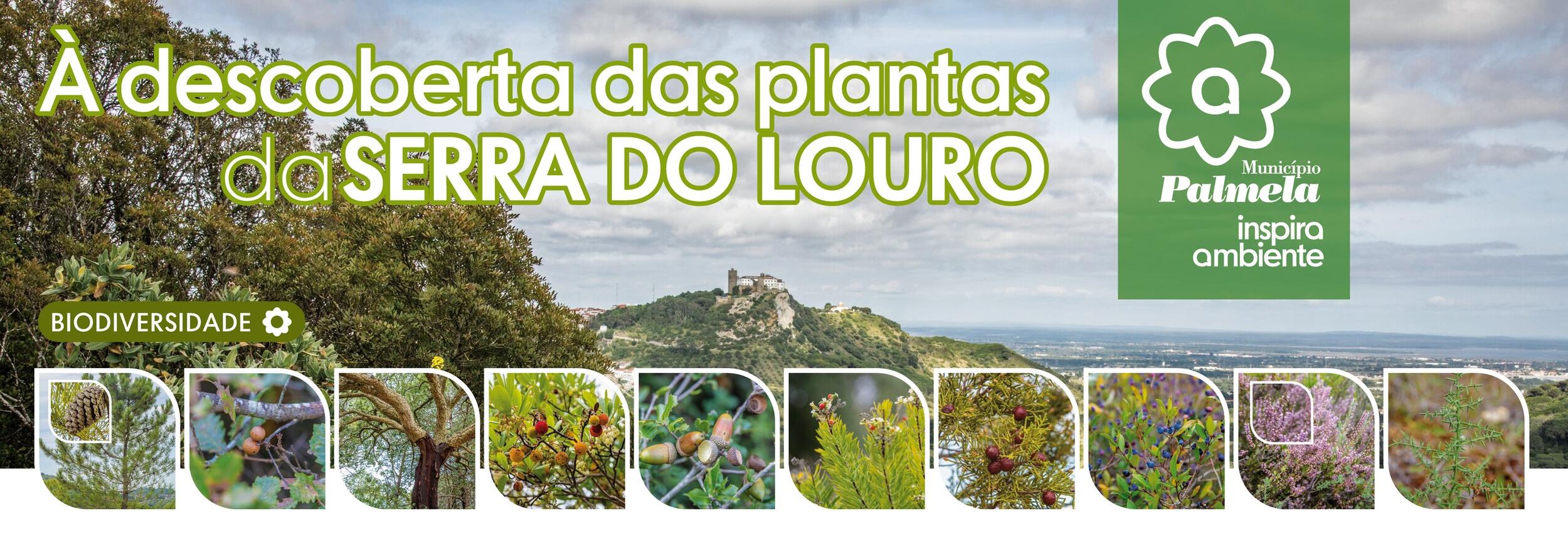 Serra do Louro: Consulte o Folheto e venha descobrir as plantas do outono!