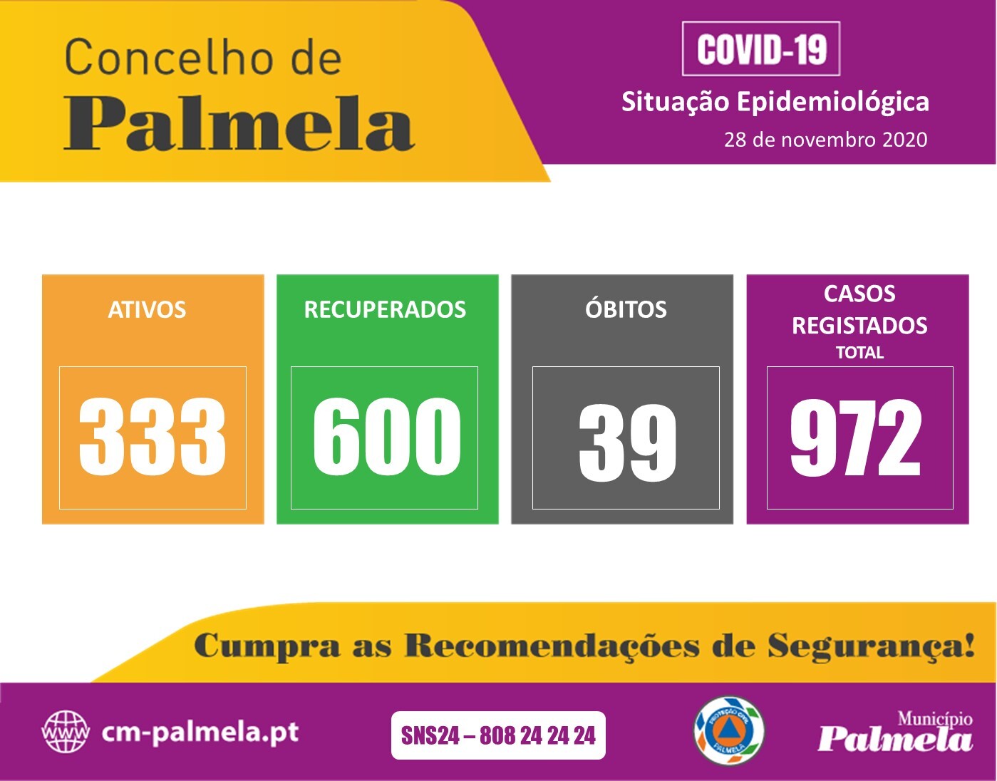 Palmela: Situação diária da COVID-19 | 28 novembro 2020 