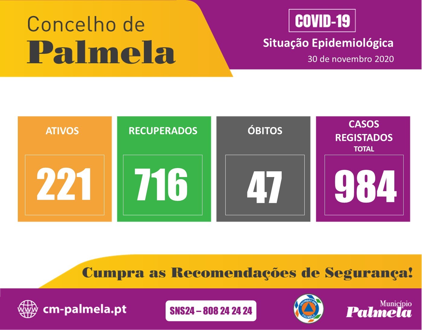 Palmela: Situação diária da COVID-19 | 30 novembro 2020