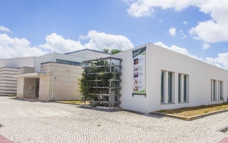 Reunião do Conselho Municipal da Juventude a 14 de dezembro