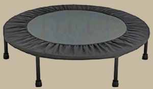 Campeonato Distrital de Mini Trampolim: Ginastas do Distrito reunidos em Pinhal Novo 