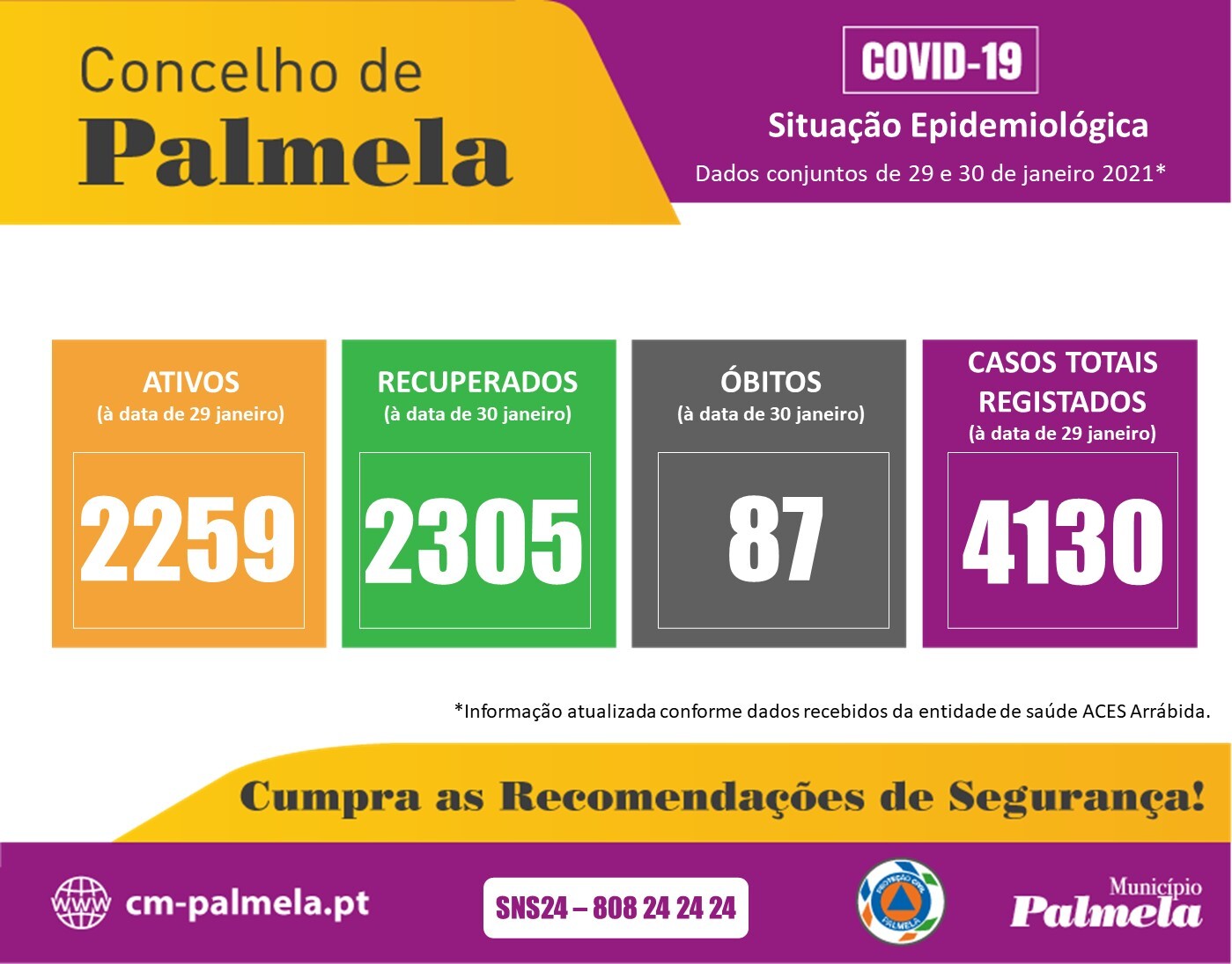 Palmela: Situação diária da COVID-19 | 31 de janeiro 2021*