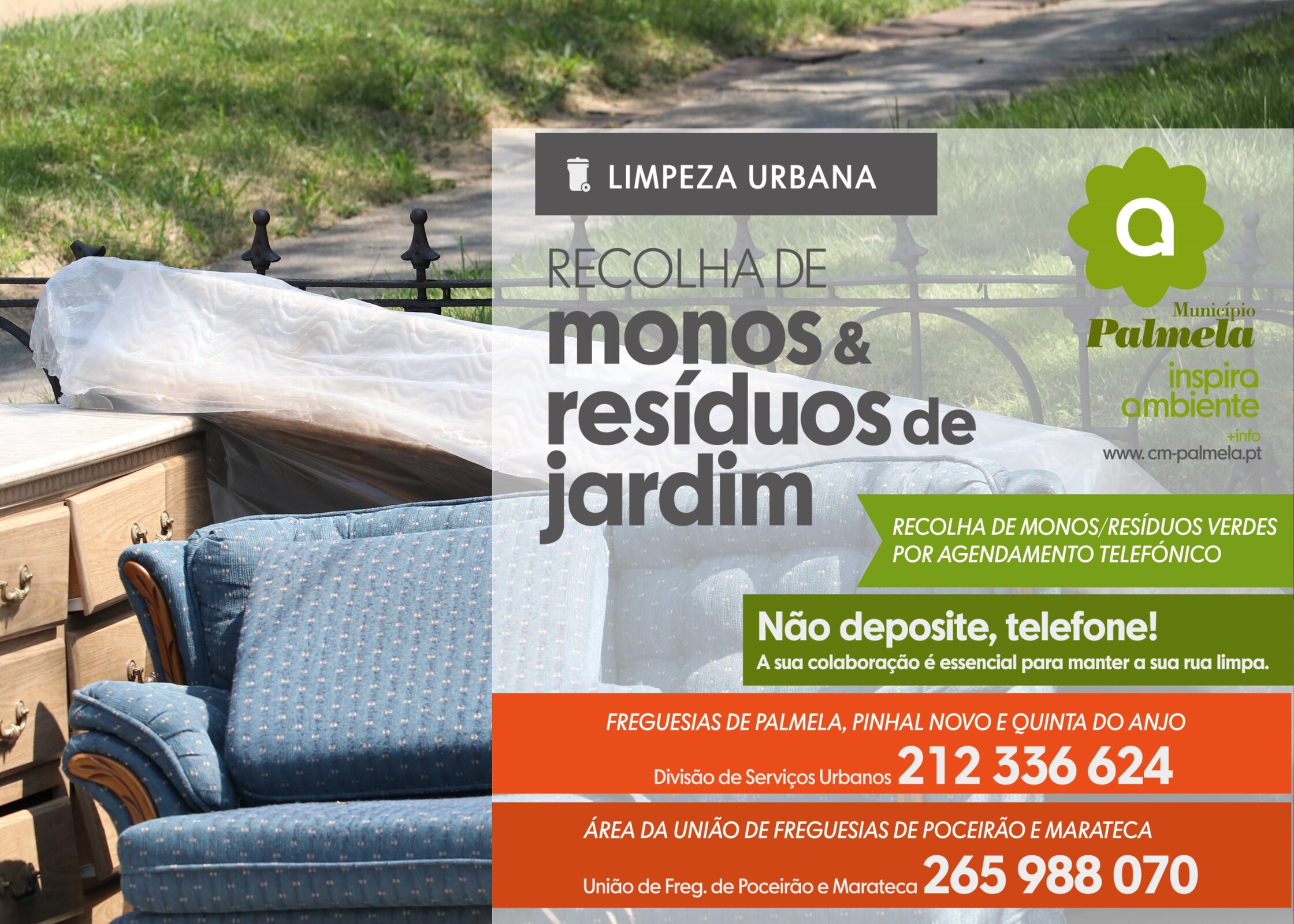 Conheça os dias de recolha de monos e verdes! Colabore!