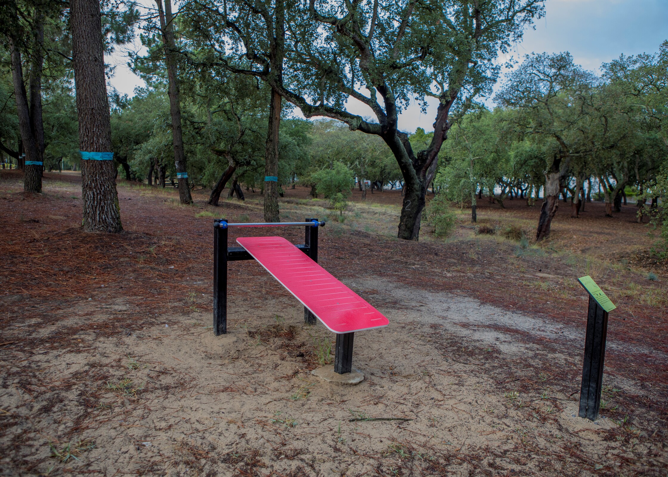 Aprovado Protocolo para futura Pista Check-Up de Quinta do Anjo