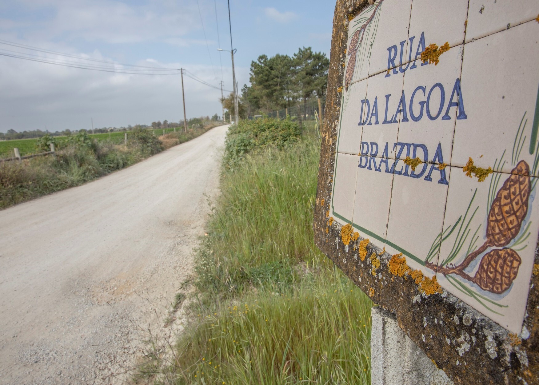 Aberto concurso para pavimentação da Rua da Lagoa Brazida – Pinhal Novo