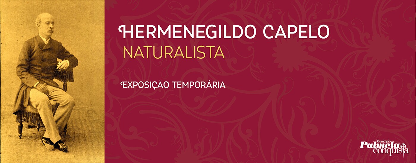 “Hermenegildo Capelo, naturalista”: nova Exposição para visitar no Espaço Cidadão