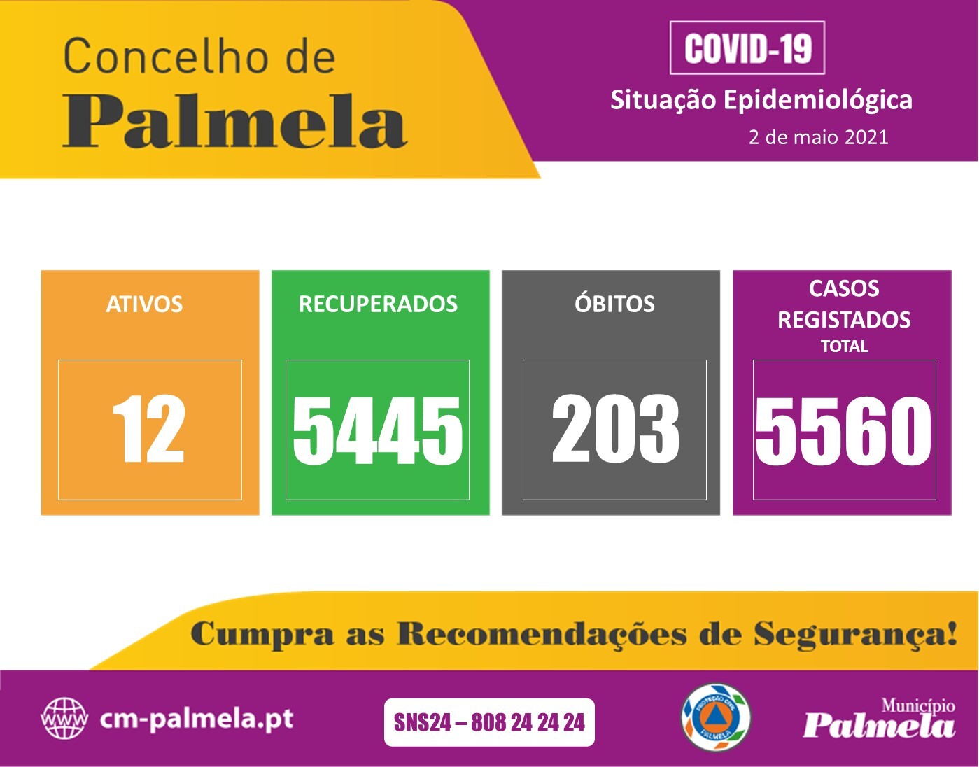 ATUALIZAÇÃO - Palmela: Situação diária da COVID-19 | 2 de maio de 2021