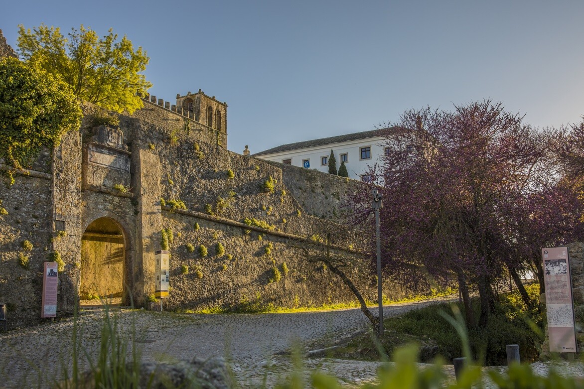 Palmela com visitas guiadas ao Castelo e Centro Histórico no verão