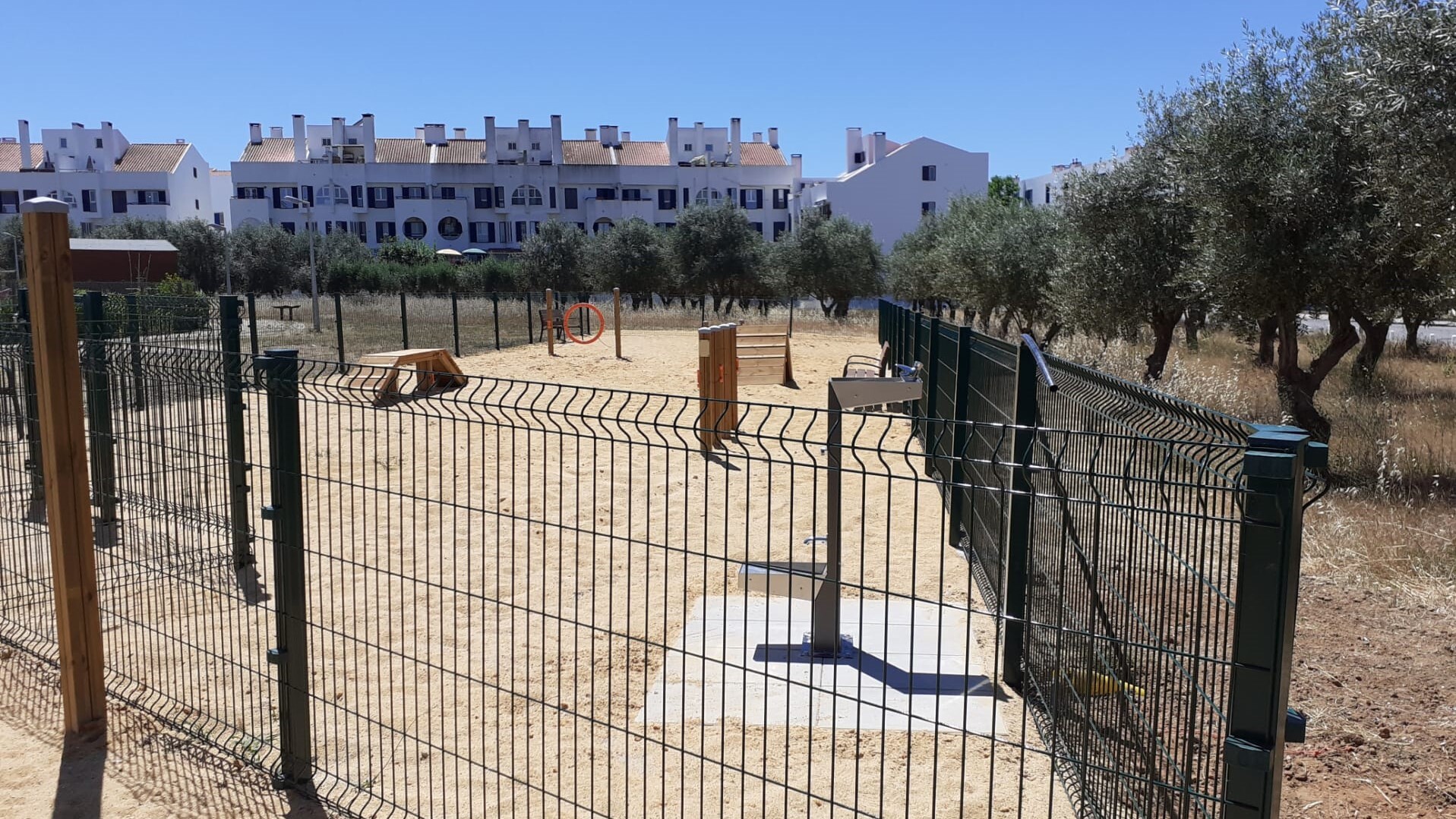 Parque Canino em Quinta do Anjo reforça bem-estar animal