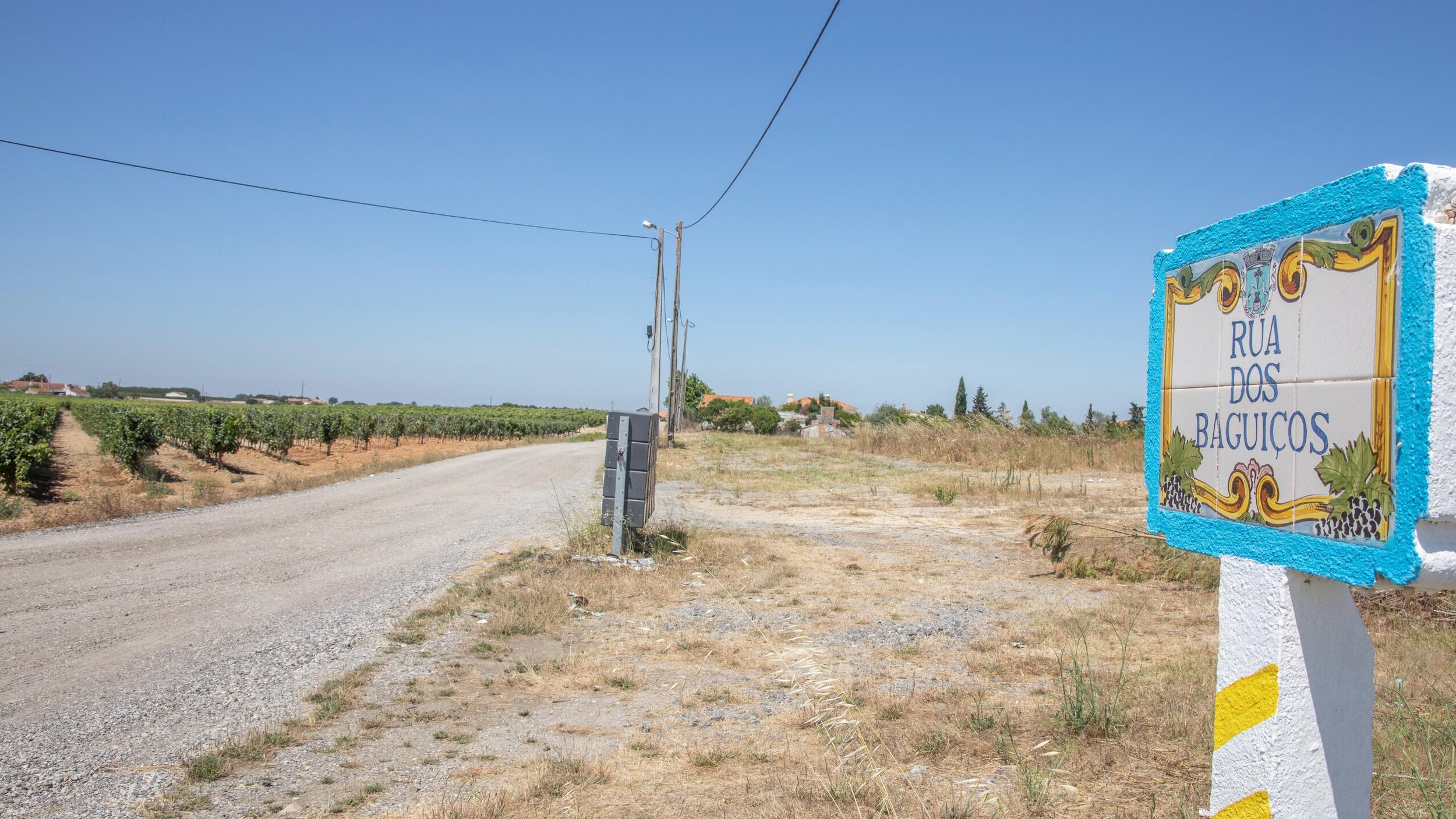 Concurso para pavimentação da Rua dos Baguiços – Lagoa do Calvo
