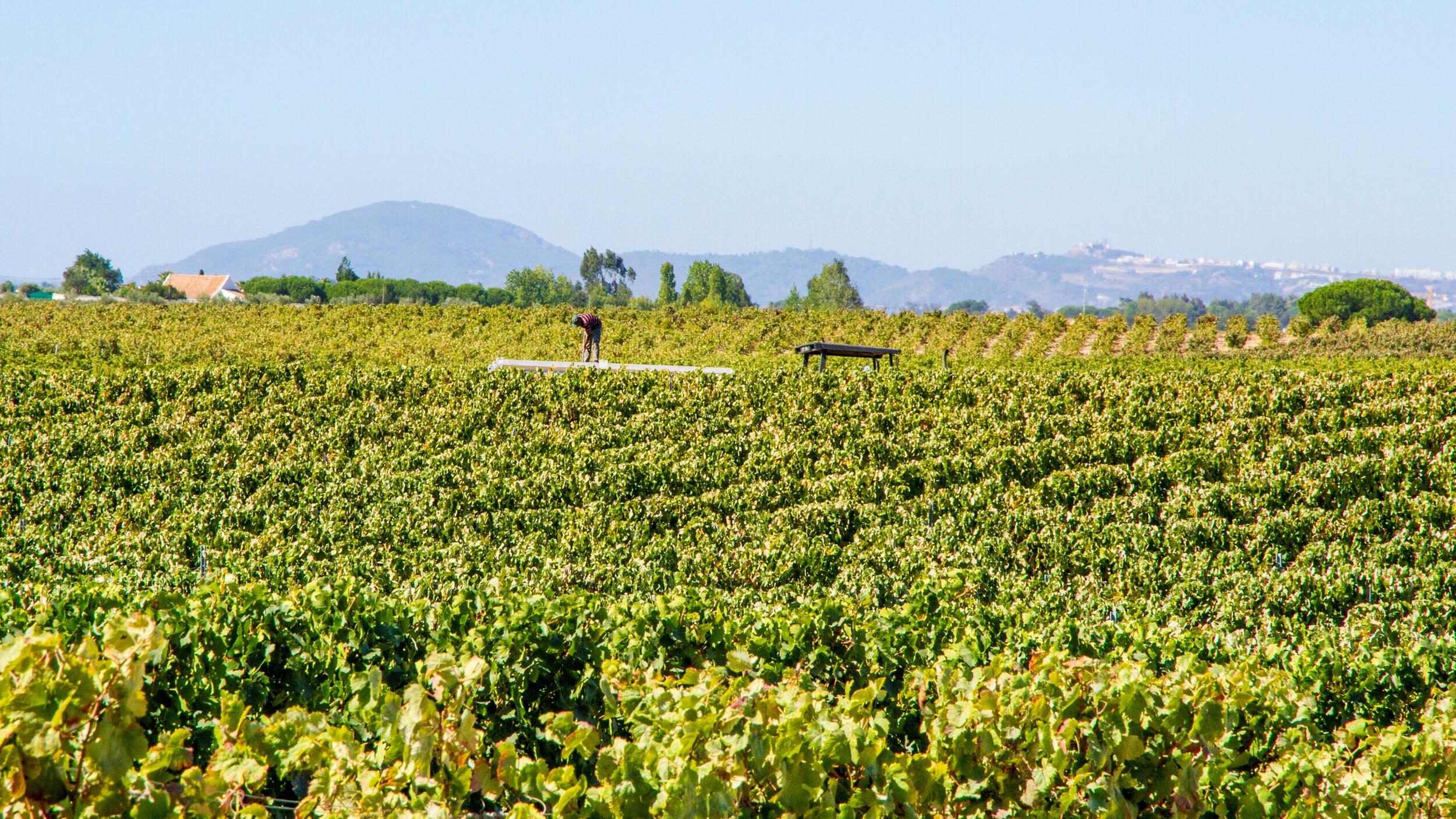 Município repudia critérios da Lei que inviabiliza reposição das freguesias de Poceirão e Marateca
