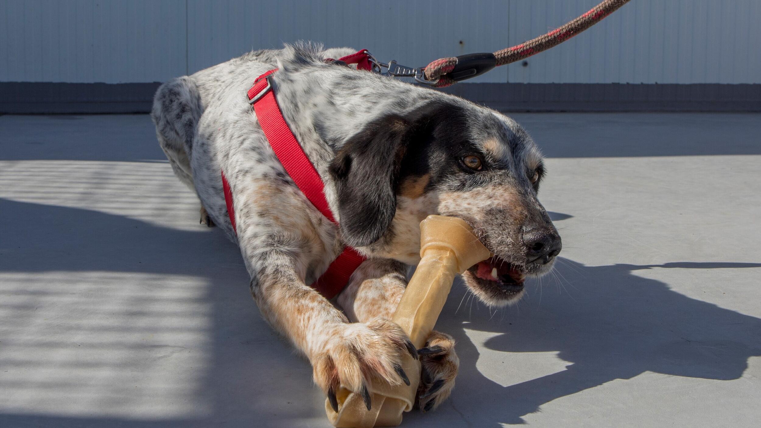 CROA/Palmela vai ter espaços de recreio