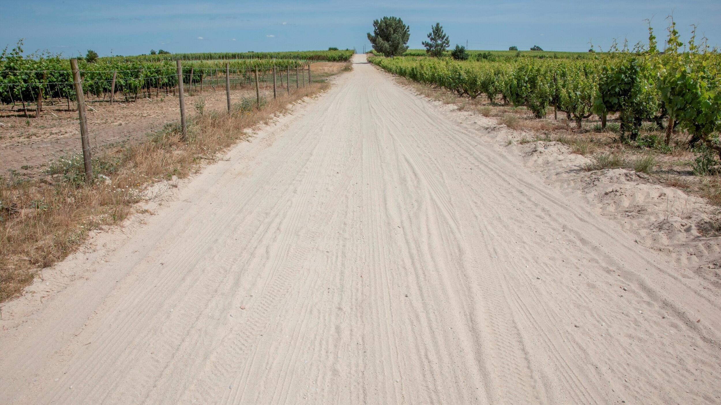 Rua Joaquim Maria Afonso (Lau): pavimentação adjudicada