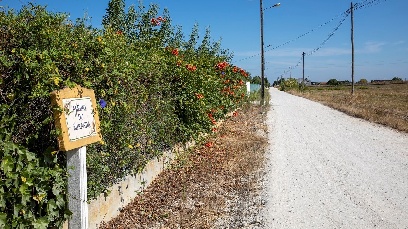 Pavimentação do Aceiro do Miranda - empreitada adjudicada