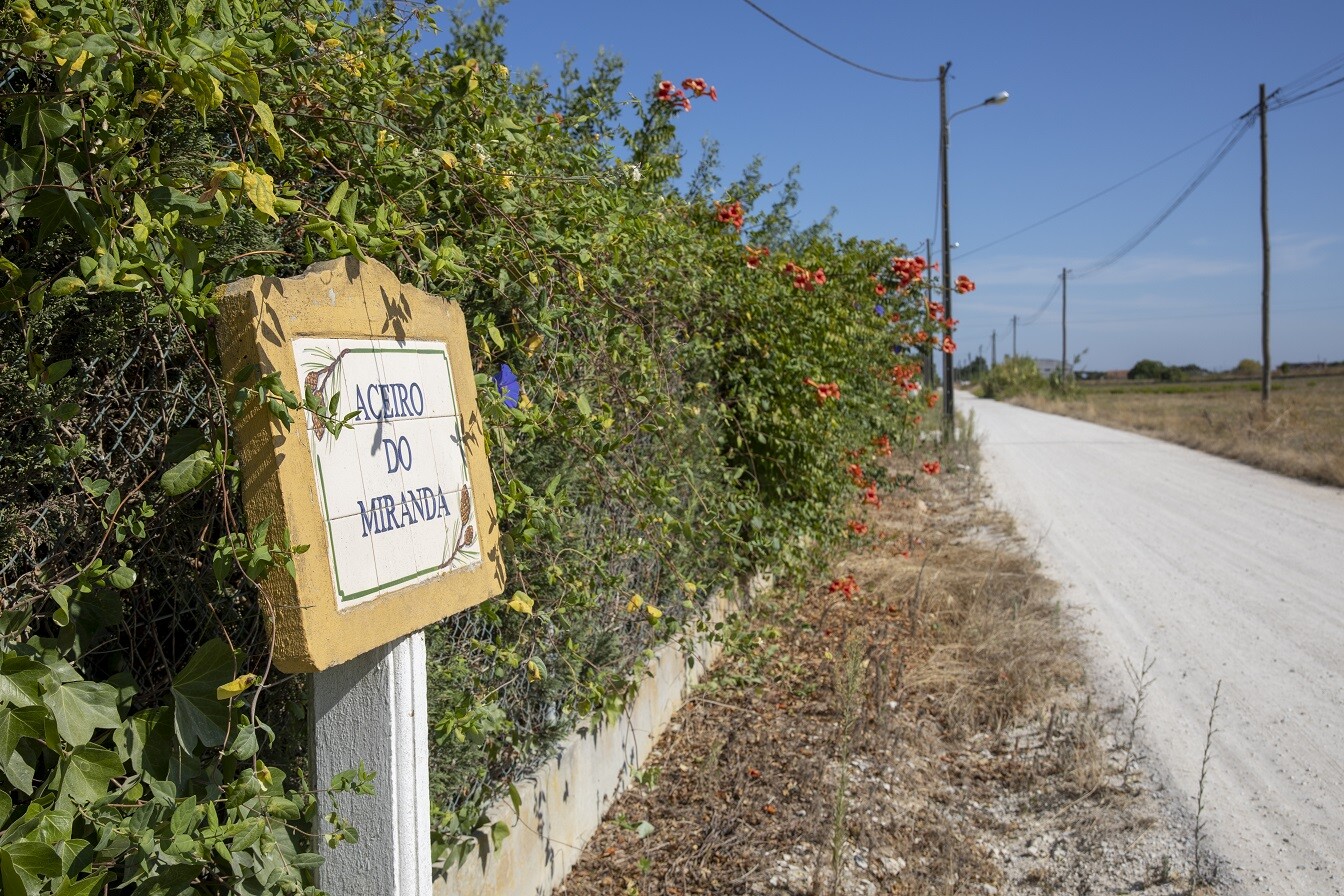 Adjudicada pavimentação do Aceiro do Miranda - Pinhal Novo