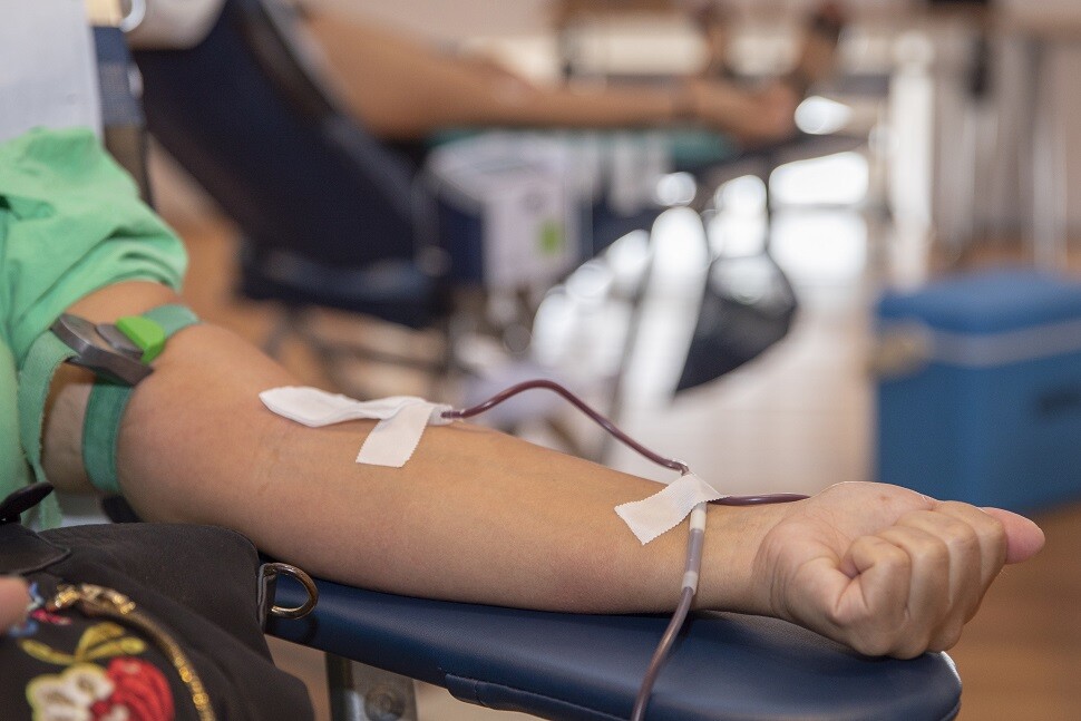 Colheitas de sangue - Palmela e Pinhal Novo: 16 e 23 de outubro