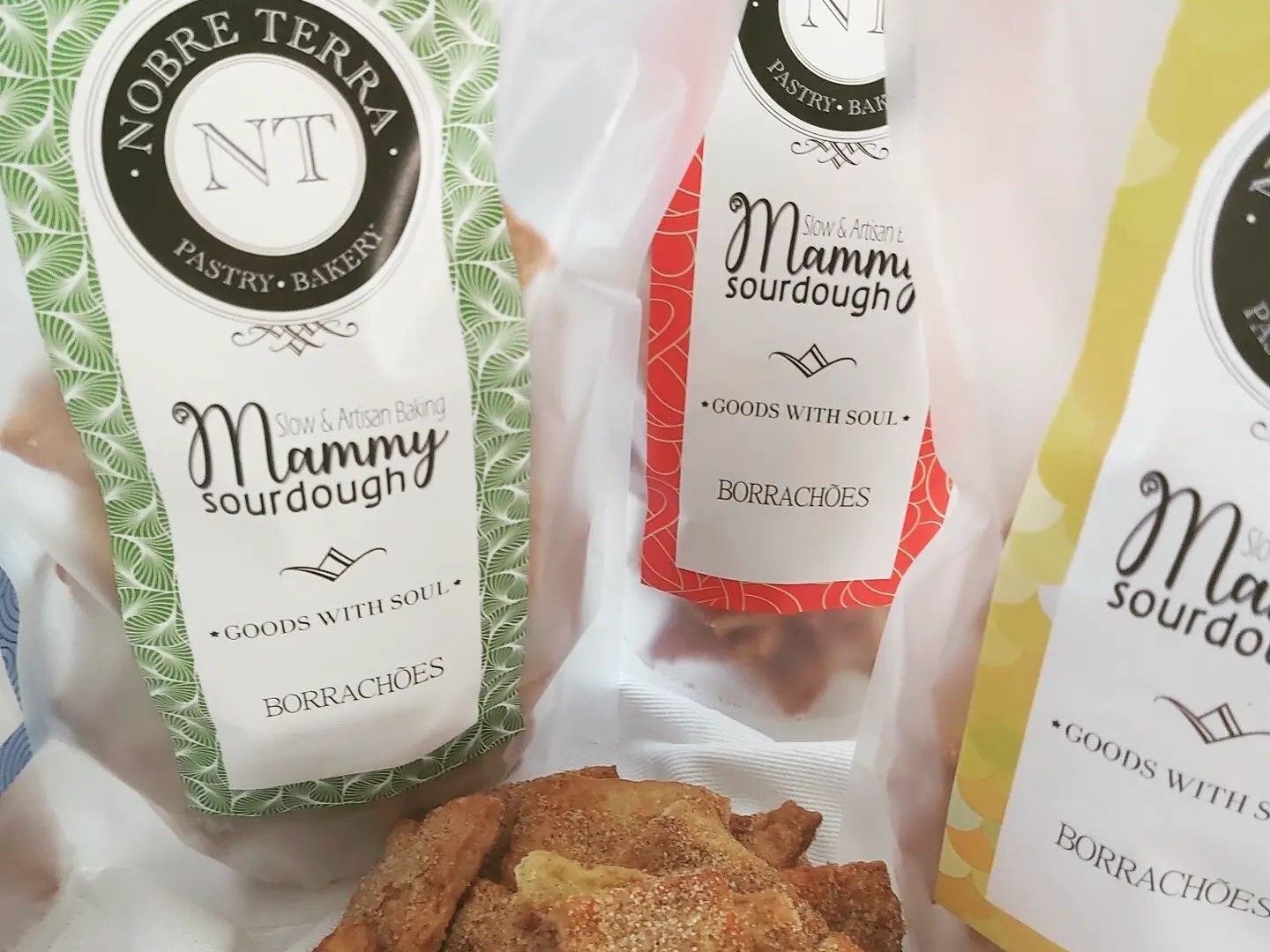 Município de Palmela saúda Nobre Terra            