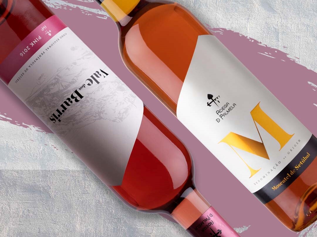 Saudação - Adega de Palmela