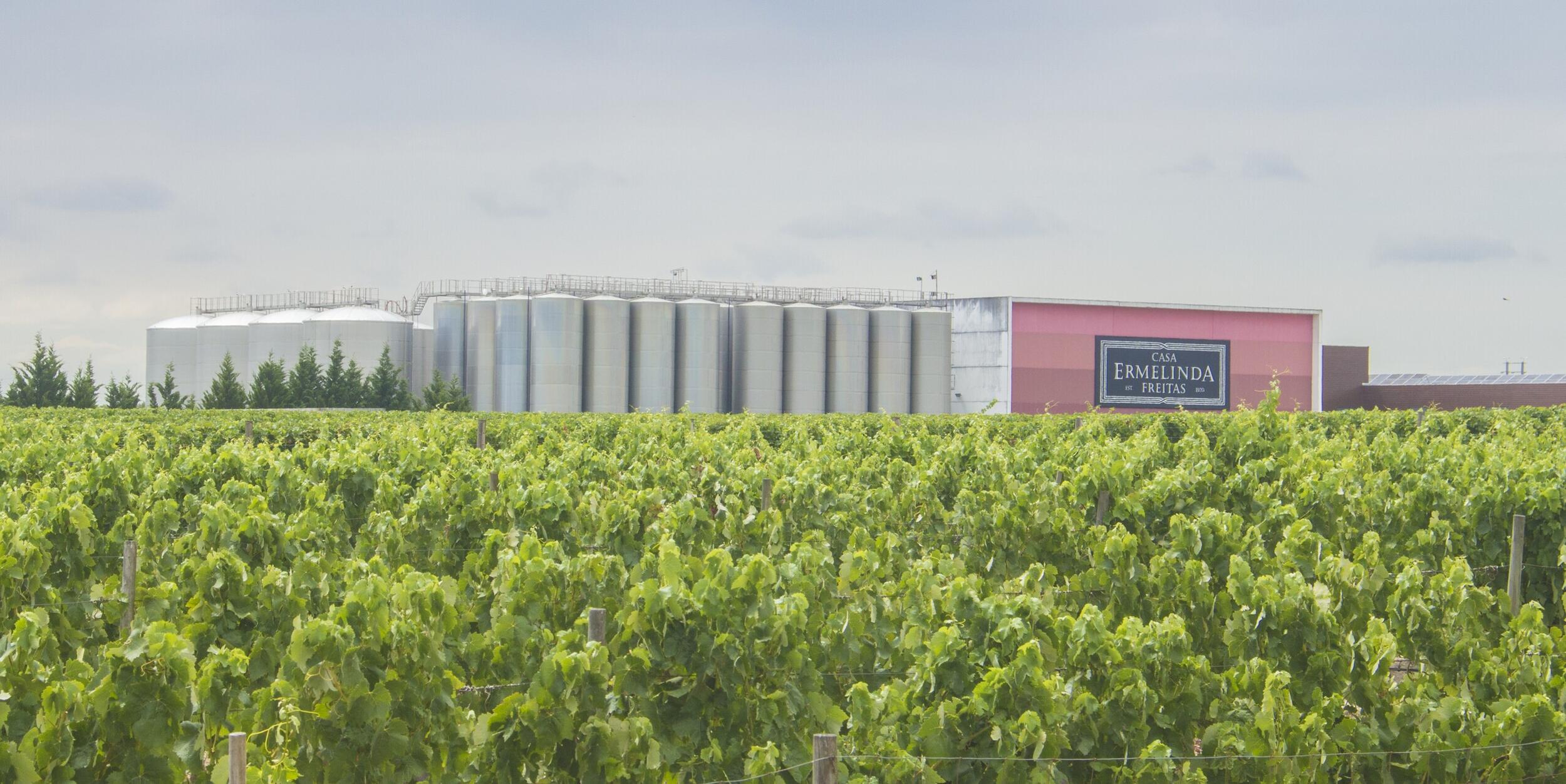 Município saúda Casa Ermelinda Freitas