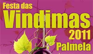 Estacionamento Automóvel na Nova Palmela