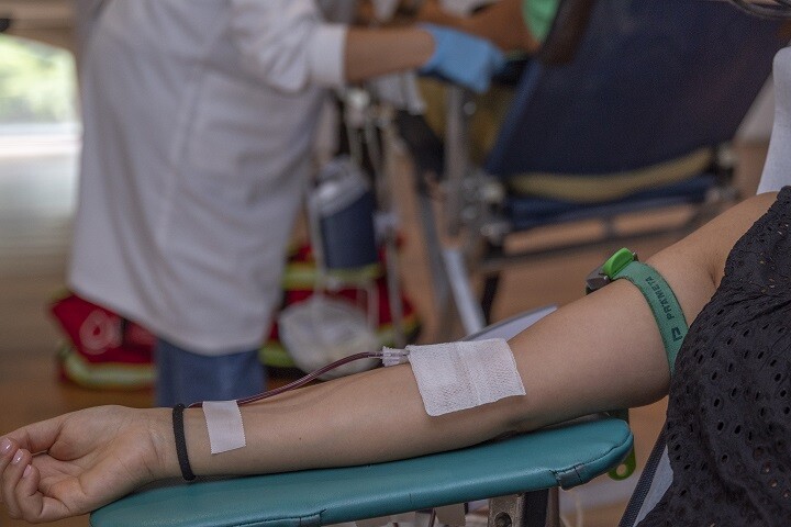 Este Natal dê sangue e salve vidas! - 12 de dezembro – Escola Secundária de Pinhal Novo